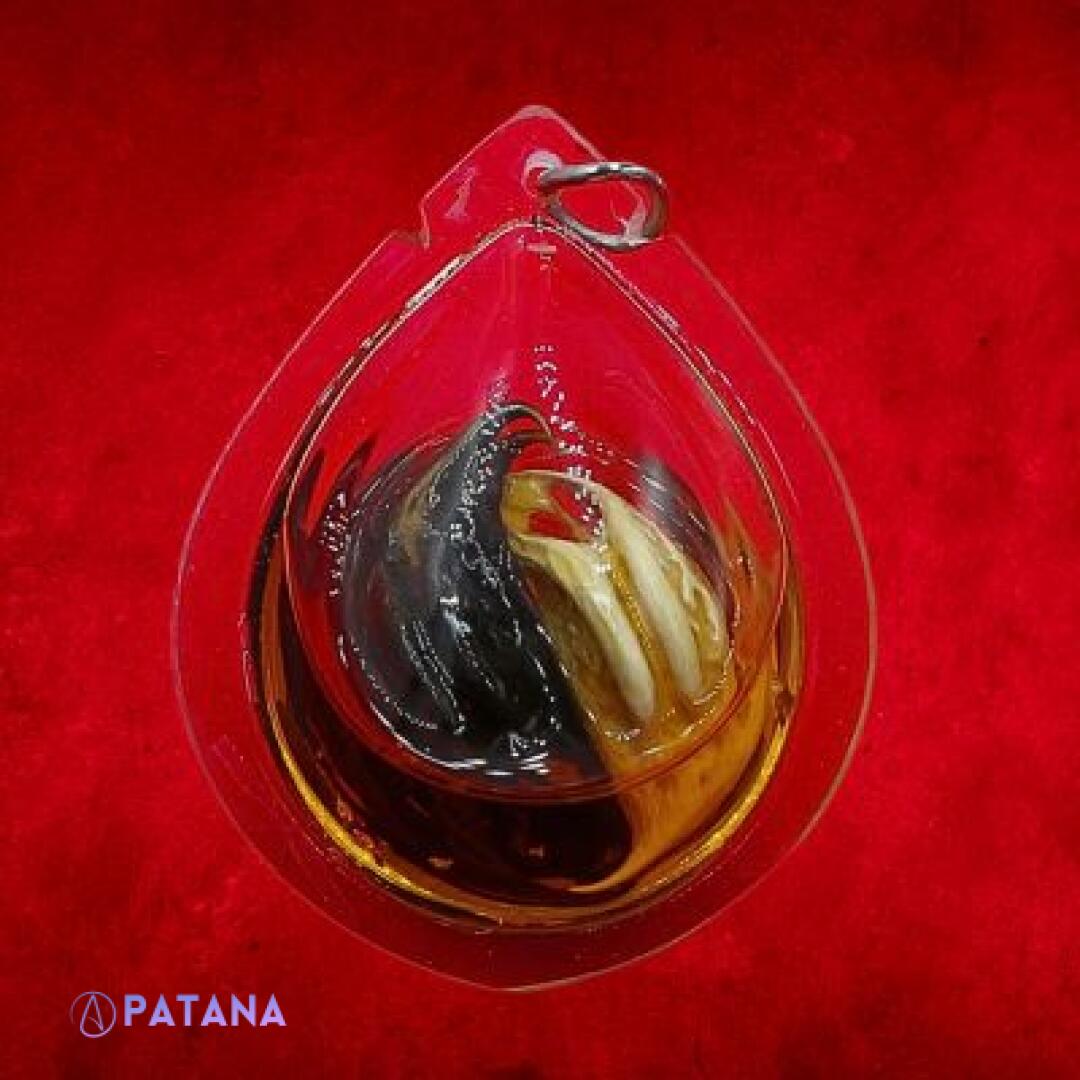 Garuda's Claw Pendant In Sacred Oil: Conduit of Higher Spiritual Energies, Enhance Manifesting Powers, Intention Transference. Wealth Attraction. - Image 2