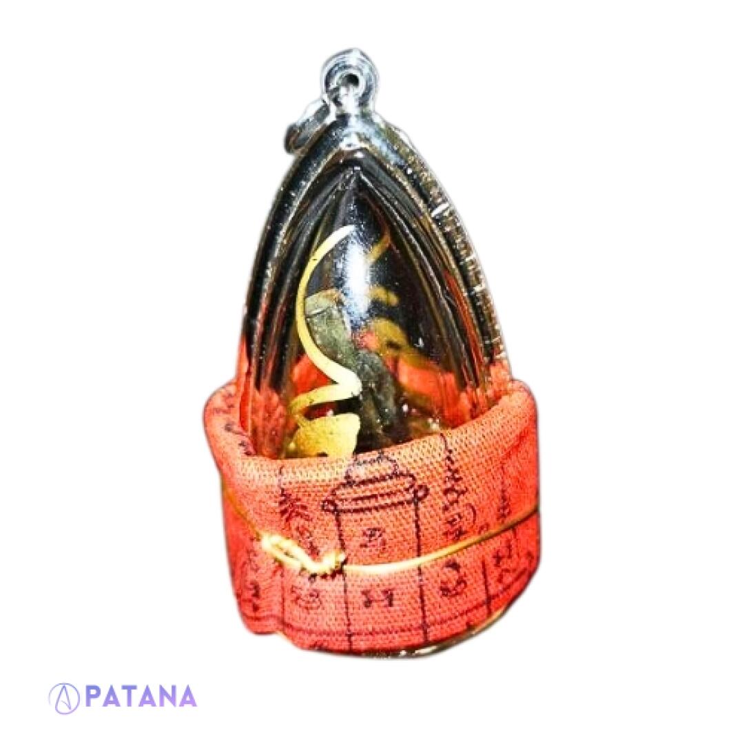 Enhanced Python Spur Magic Amulet Consecration 2020-2023 Lunar Energies For Wealth, Spiritual Consciousness & Protection From Dark Magic