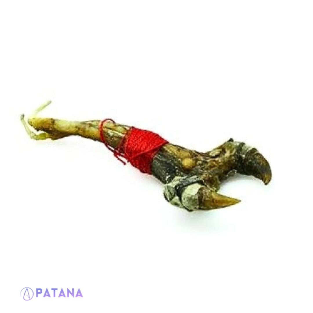Enhanced Python Spur Magic Amulet Consecration 2020-2023 Lunar Energies For Wealth, Spiritual Consciousness & Protection From Dark Magic - Image 5