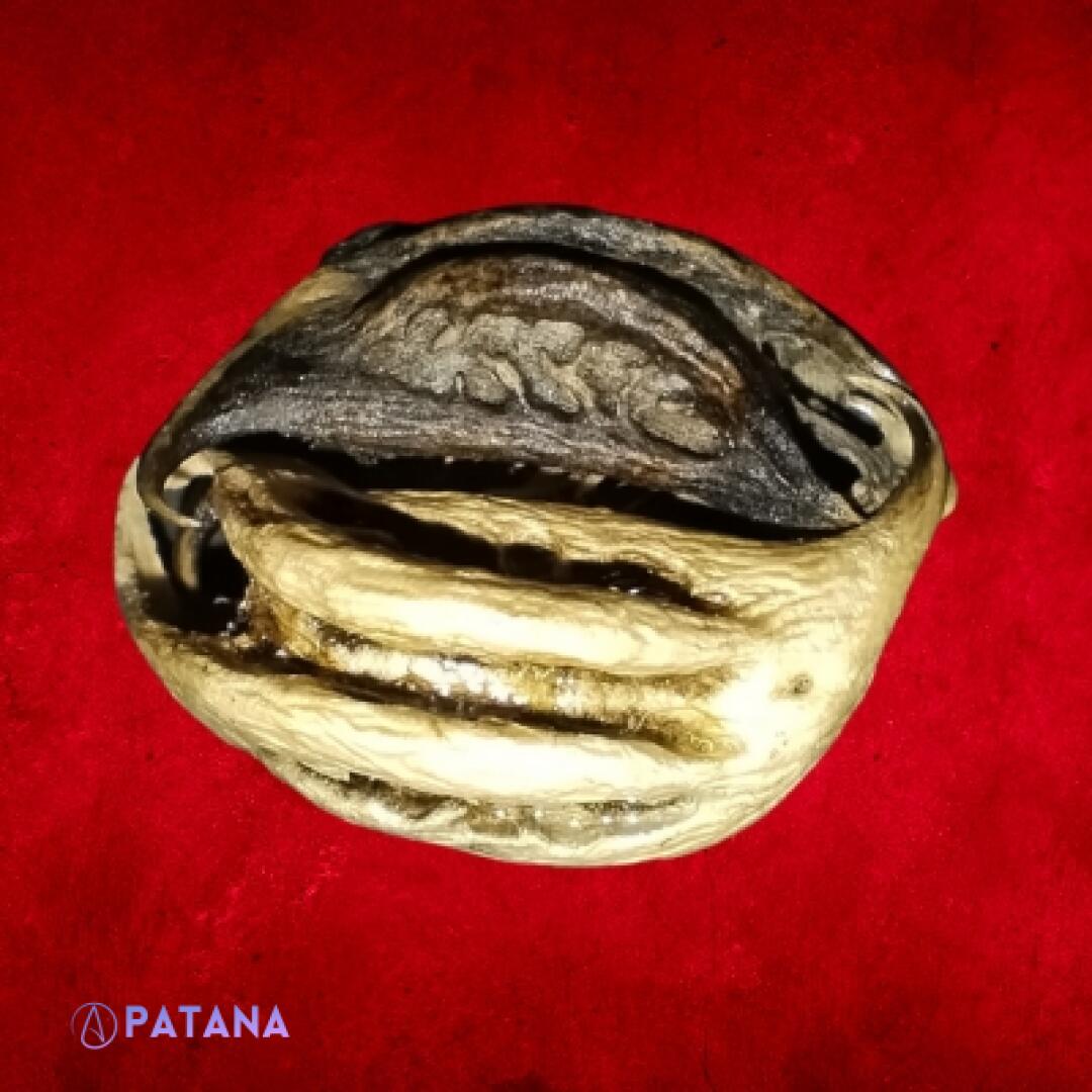 Garuda Claws: Powerful Conduits for Manifesting! - Image 4