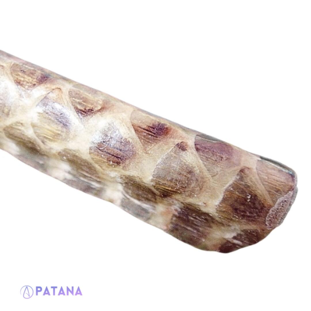 Powerful Wealth Python Takrut - Strong Spiritual Protection and Enhance Spiritual Energies Against Dark Energies - Image 2